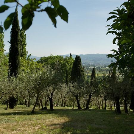 Villa Degli Ulivi Assisi Eksteriør bilde
