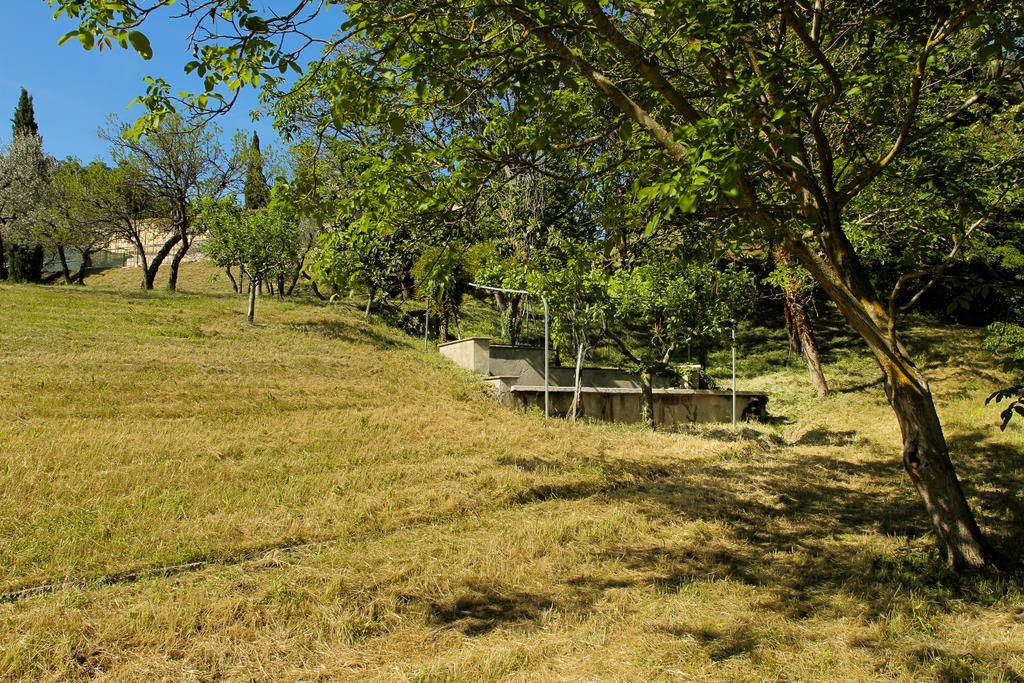 Villa Degli Ulivi Assisi Eksteriør bilde