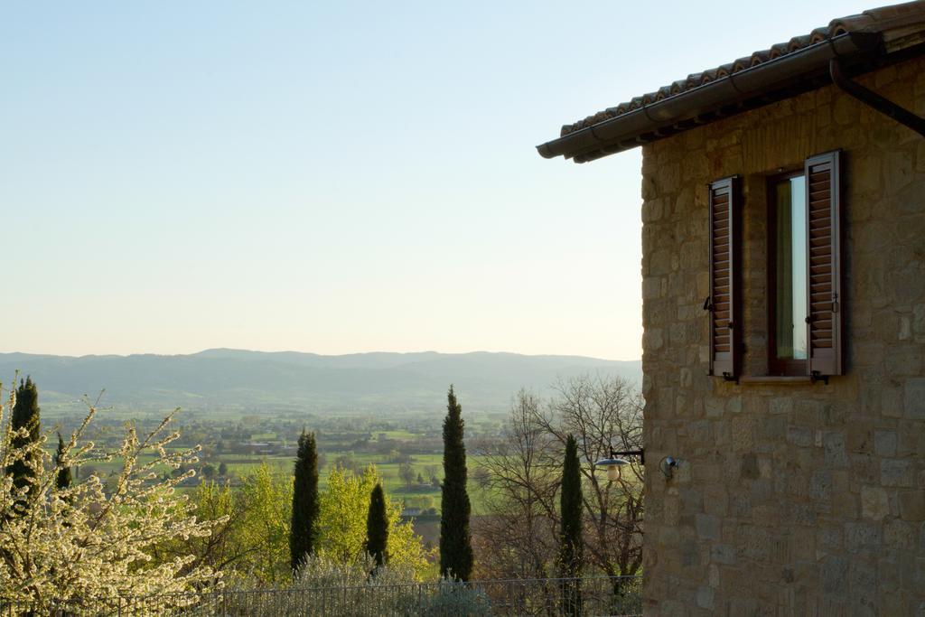 Villa Degli Ulivi Assisi Eksteriør bilde